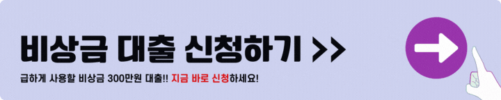 비상금대출 300만원