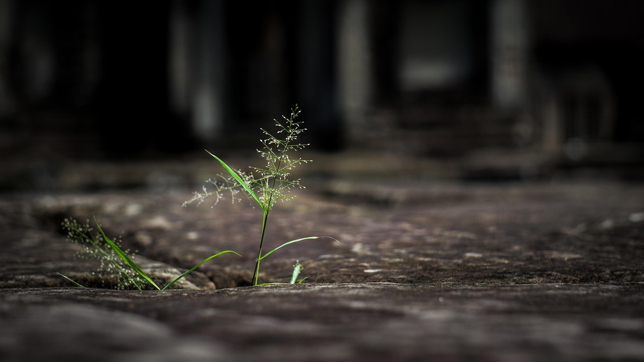 변화를 두려워하지 않는 성장)마음훈련 (마음관리, 루틴형성, 자기성장)