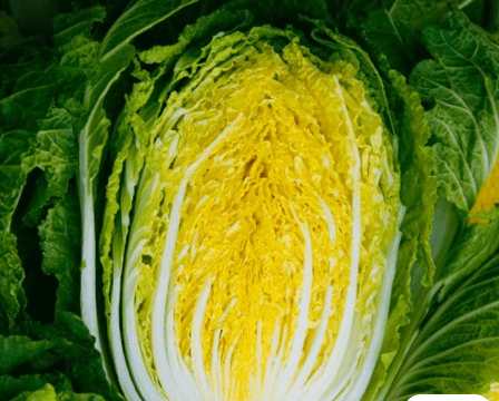 이마트 절임배추 20kg | 사전 예약 | 저렴한 가격으로 구매하기