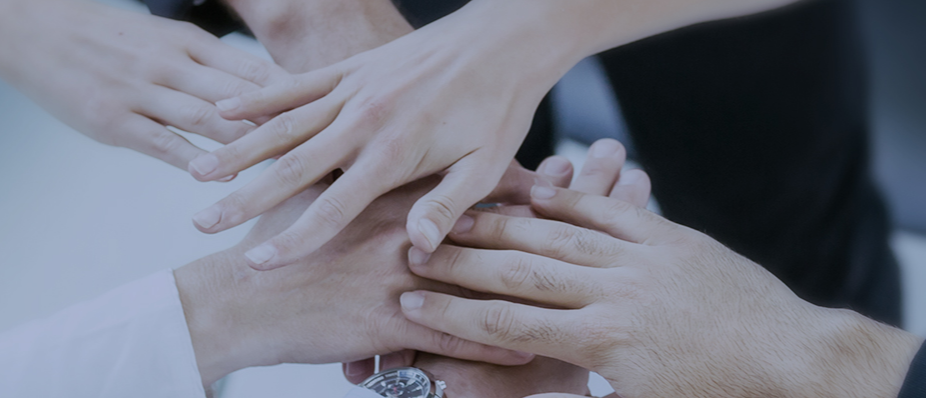 민주당 당원 가입 완벽 가이드