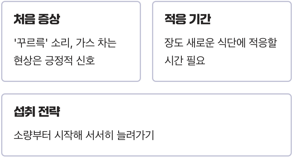 과유불급, 똑똑하게 섭취하는 법