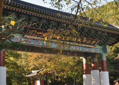 2024년 단풍절정시기