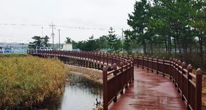 산책로