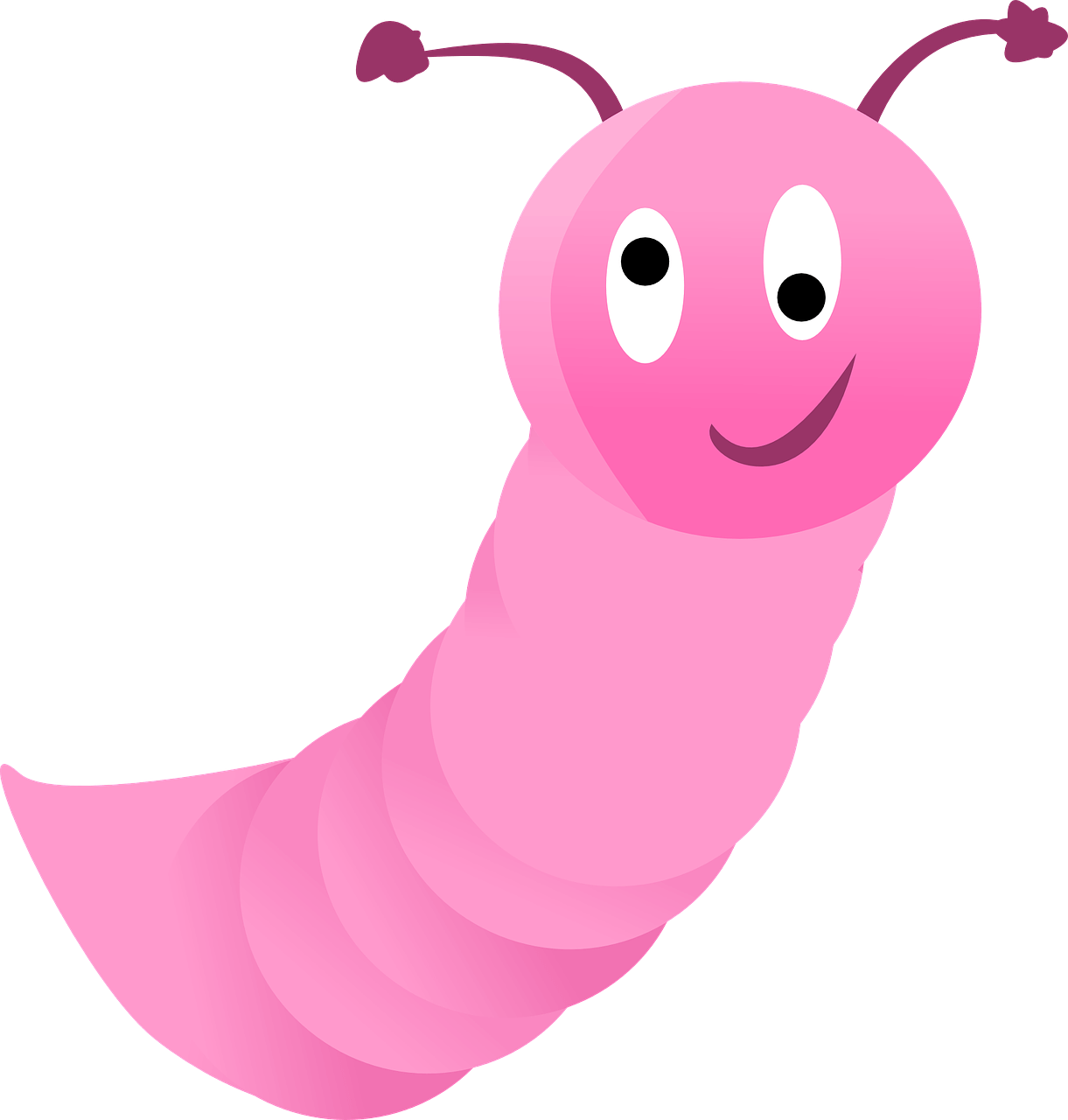 회충