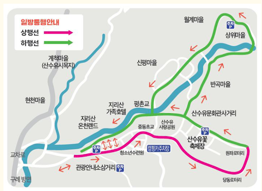 구례 산수유축제