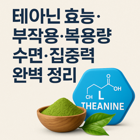 테아닌 부작용, 복용량, 수면, 집중력 완벽 정리 썸네일