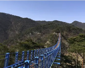 소금산 출렁다리_21