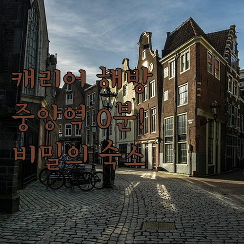 아직도 캐리어 끌고 고생하시나요 암스..