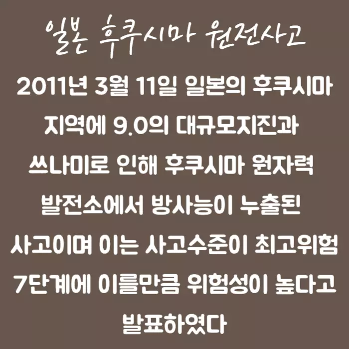 후쿠시마 원전사고 원인