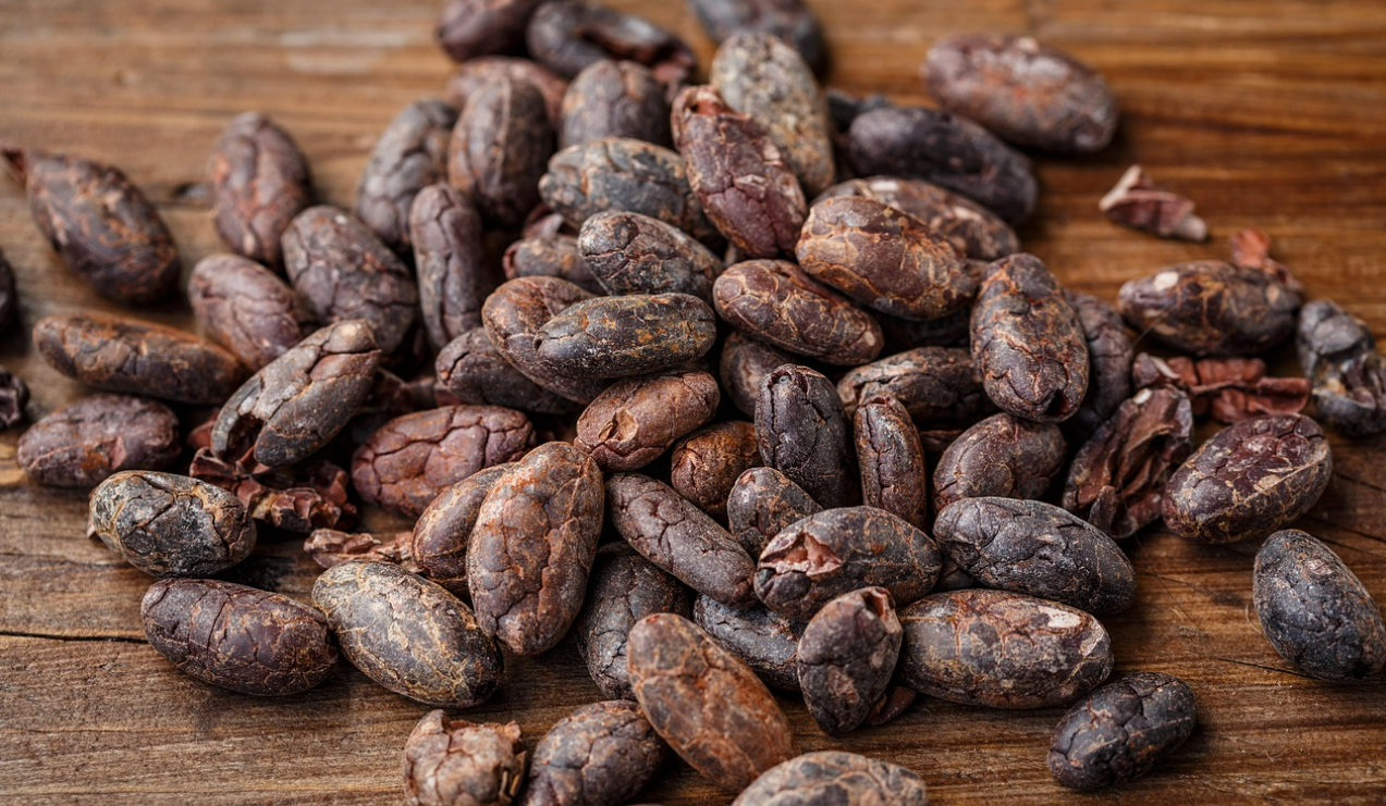 노홍철 다이어트 성공 허리 통증까지 사라진 비밀