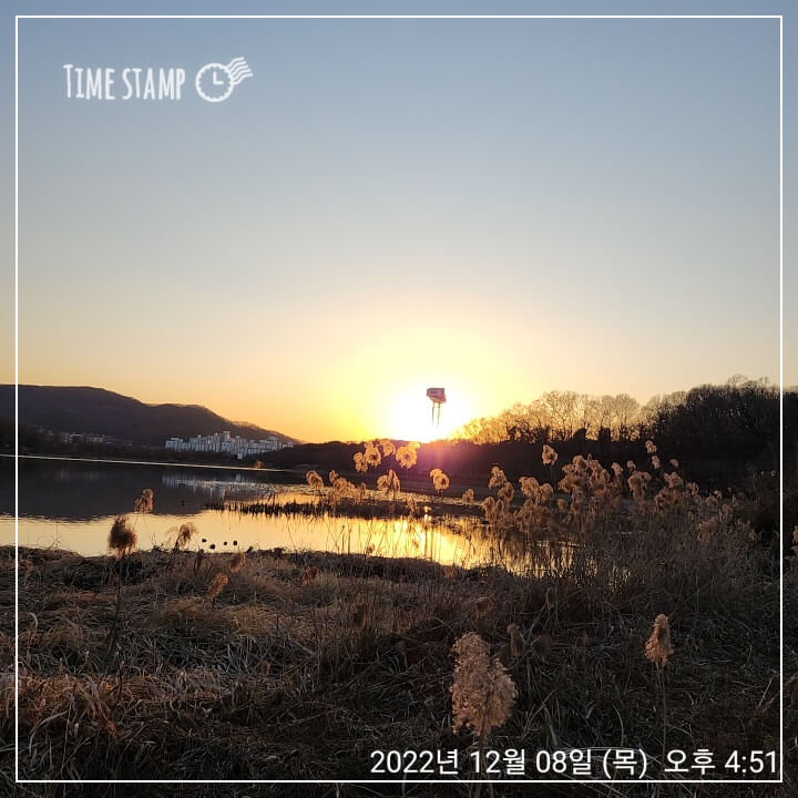 갓생-실천법-산책-MZ신조어