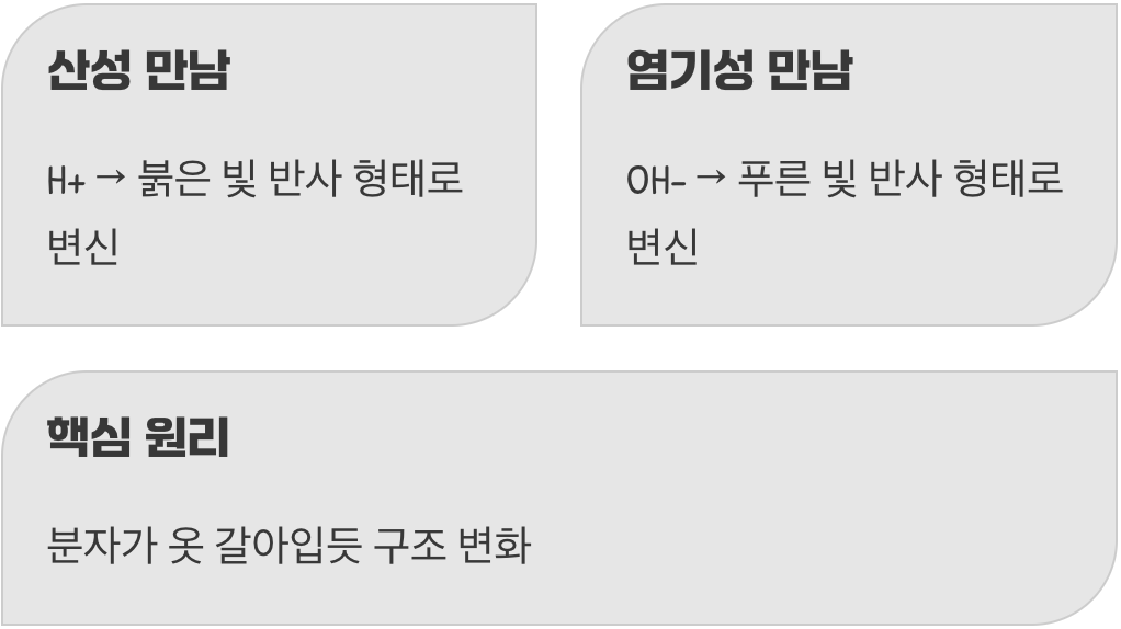 붉은색과 푸른색, 빛의 마술