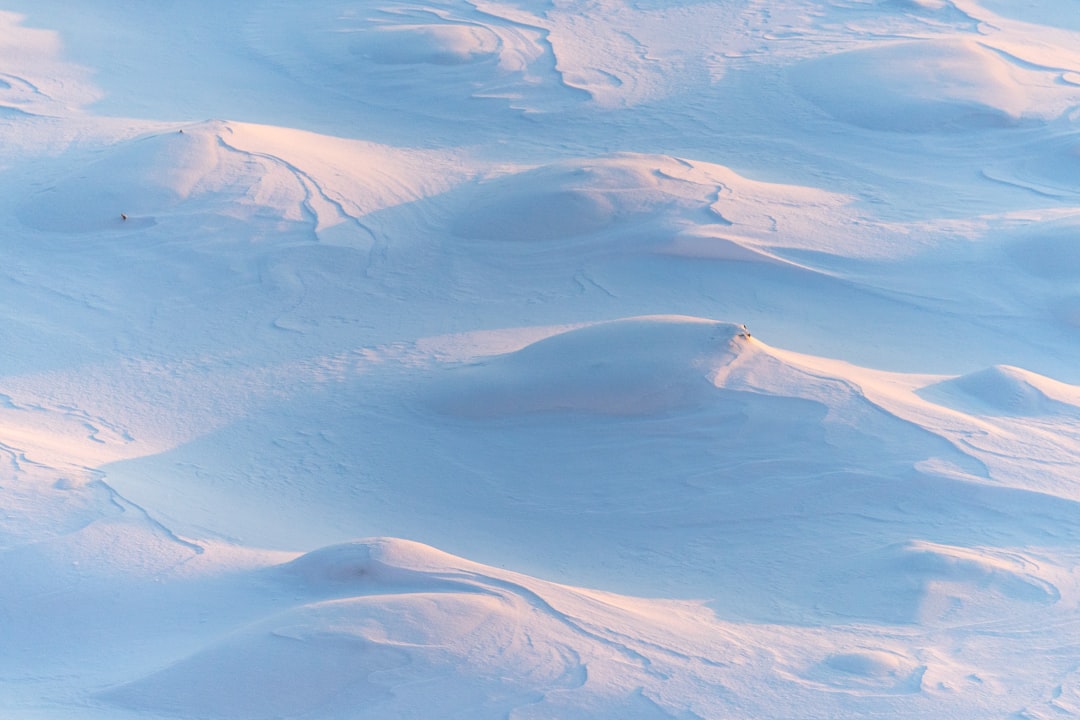 Snow.