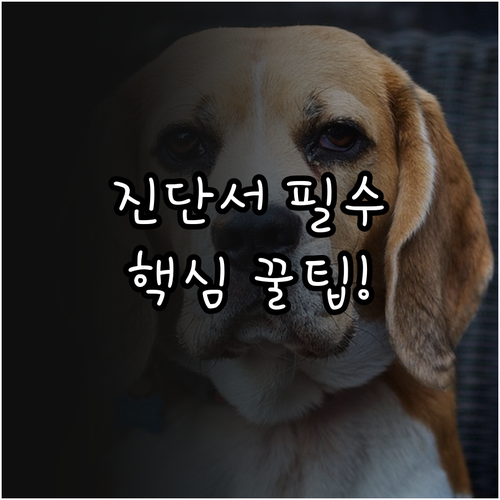 충북 반려동물 수의사 진단서 제출 시..