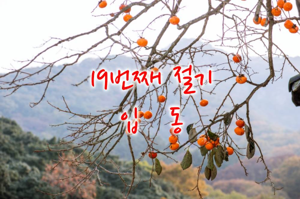19번째 절기 입동