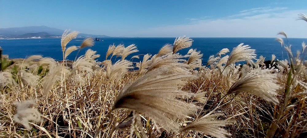 송악산(Song-aksan Mountain)
