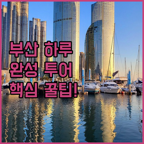스카이캡슐부터 감천문화마을까지 부산 ..