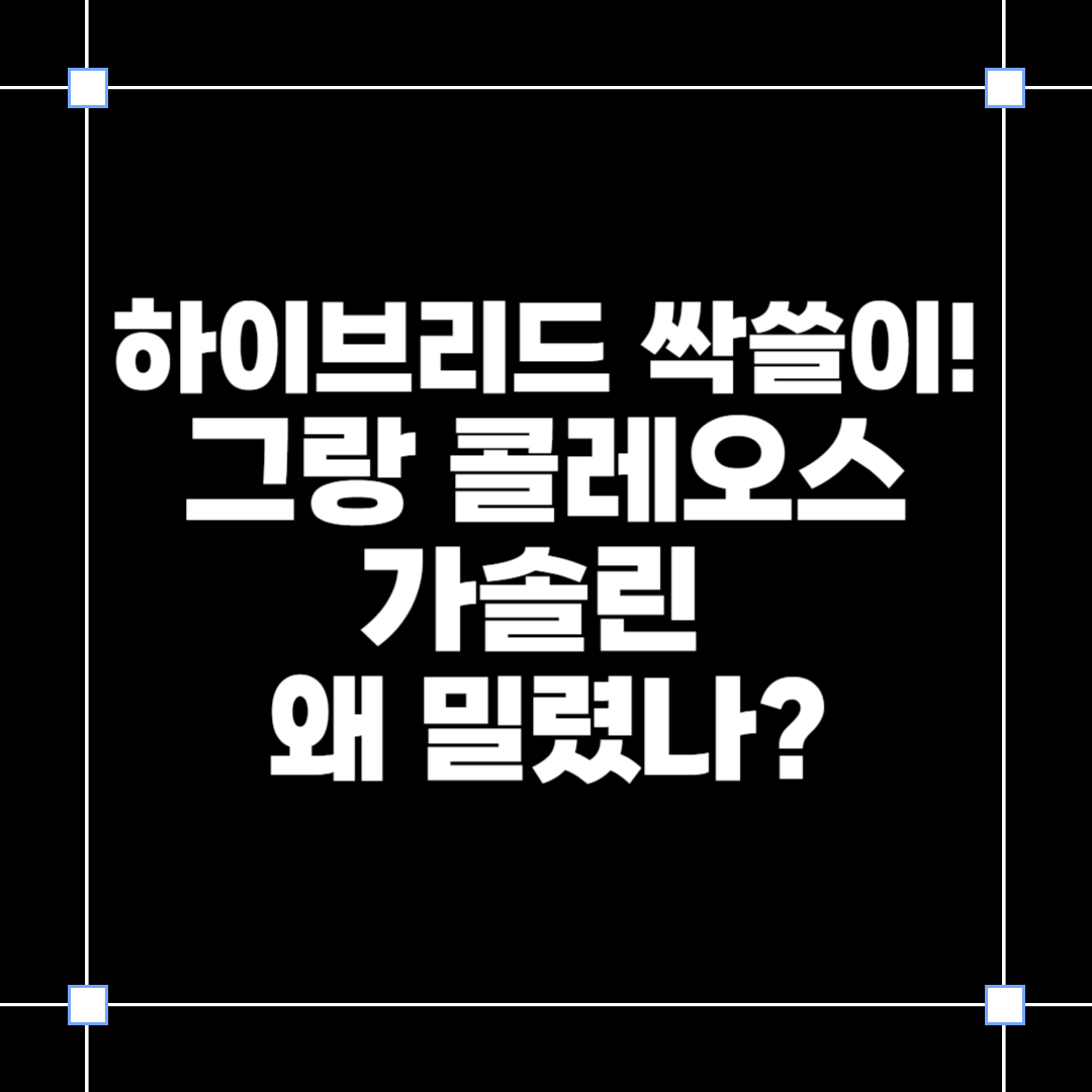 그랑 콜레오스