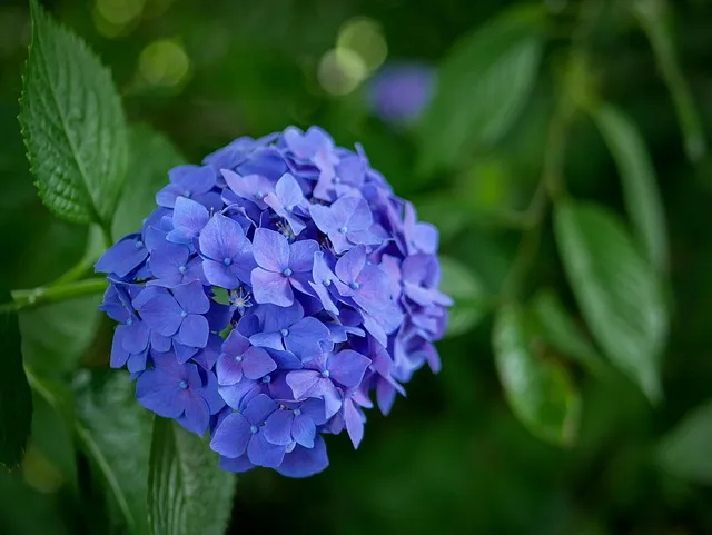 올해 장마 시작 종료일 정리 2025년 완벽 날씨 정보_9