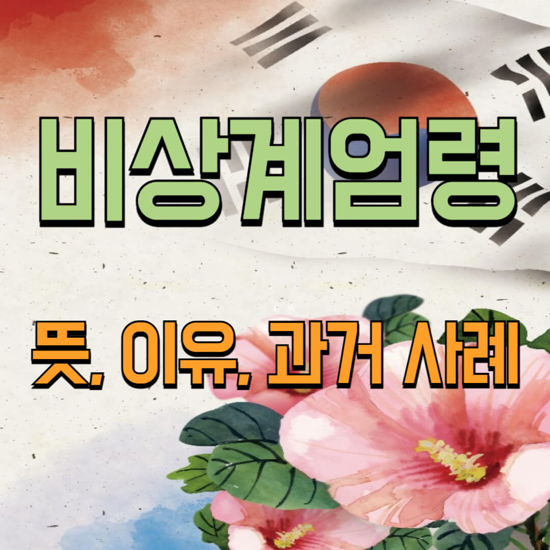 2024년 12월 비상계엄령 뜻, 이유, 과거 사례 정리