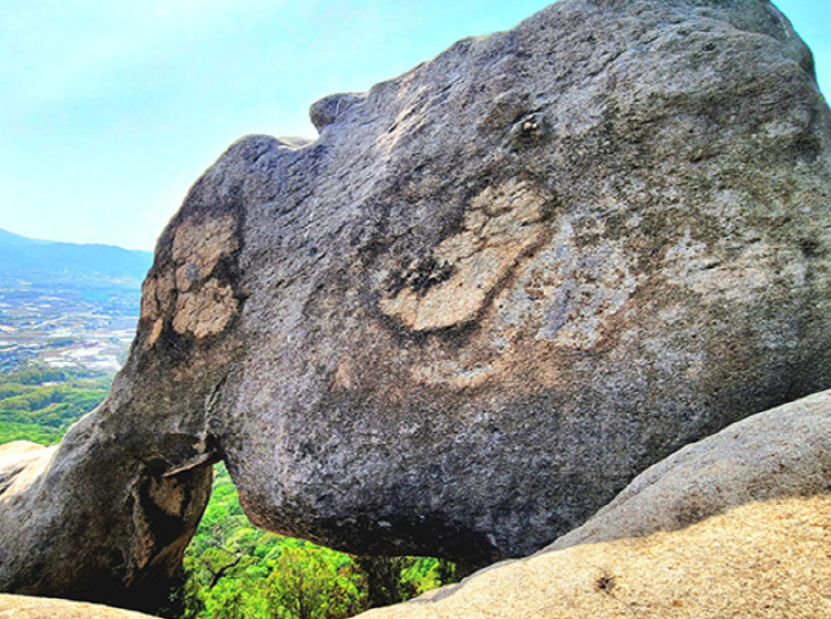 불곡산 등산코스