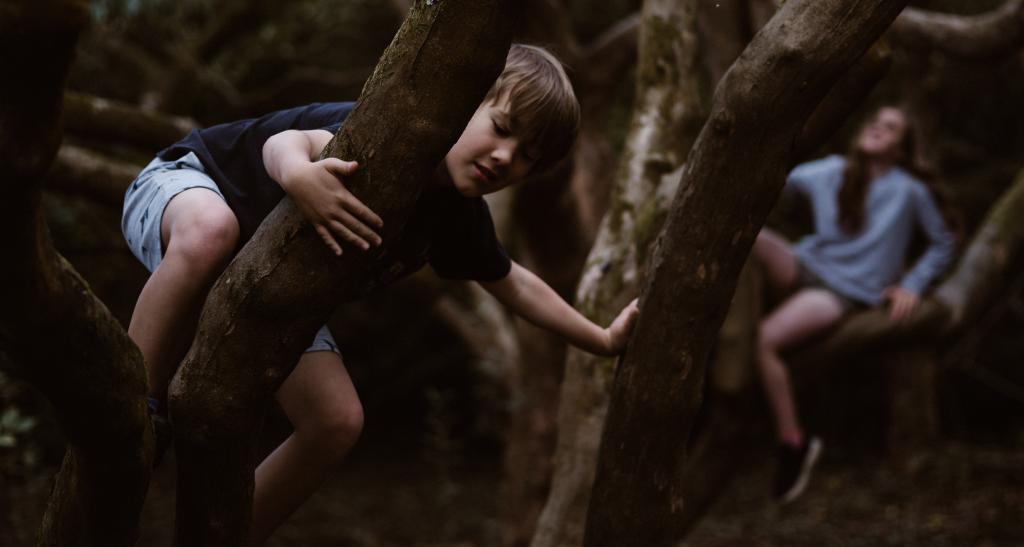 나무에-매달리는-사진