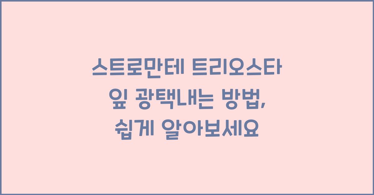 스트로만테 트리오스타 잎 광택내는 방법