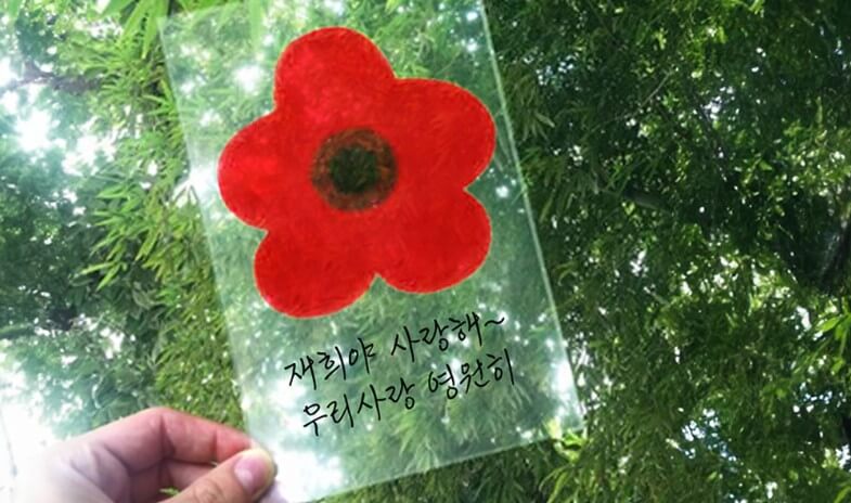 견우직녀 메세지
