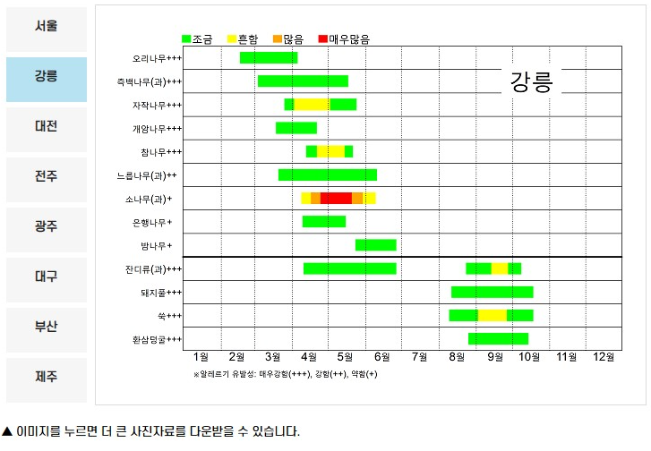 꽃가루 달력