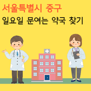 서울 중구 일요일 문여는 당번 약국