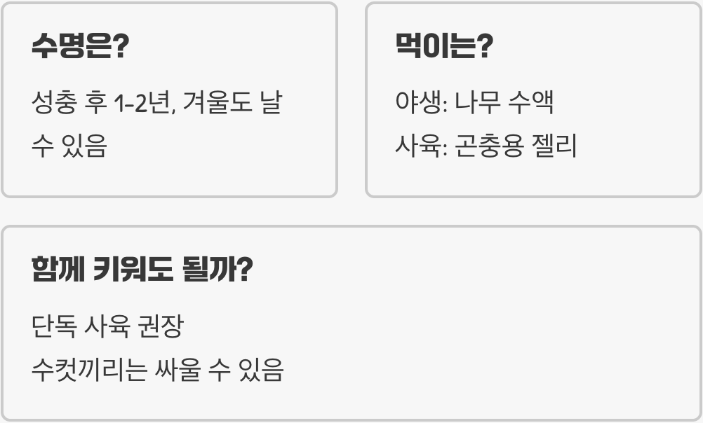 작은 턱의 비밀, 애사슴벌레 암수 구별 10초 만에 끝내는 법