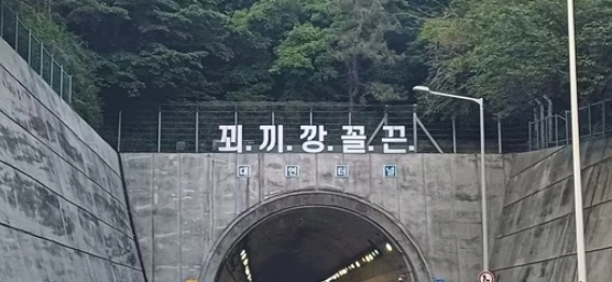 박형준 부산시장 꾀끼깡꼴끈 논란 사과 이