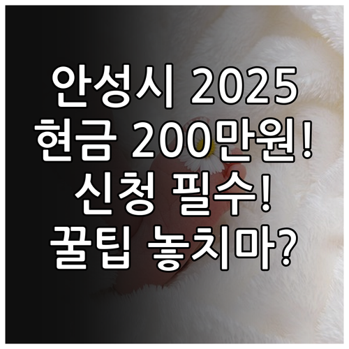 안성시 2025 출산지원금 200만원..