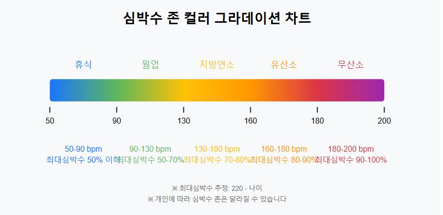 심박수 존 컬러 그라데이션 차트
