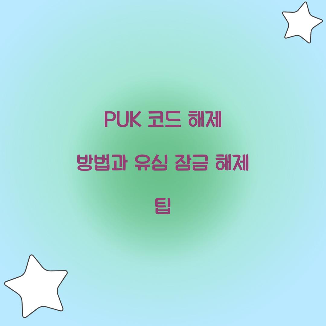 PUK 코드 해제 방법