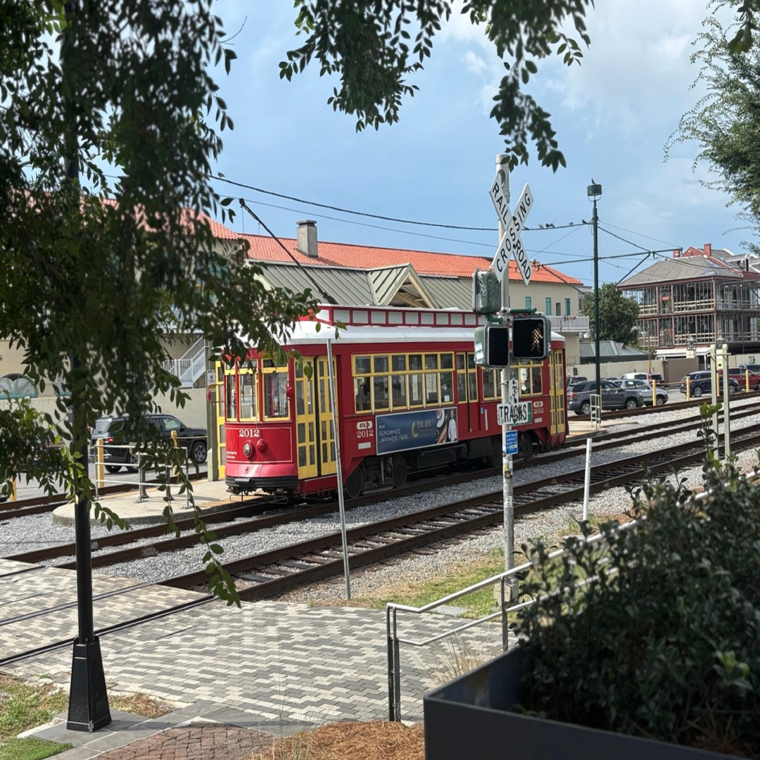 미국 혼자 여행 관련 사진