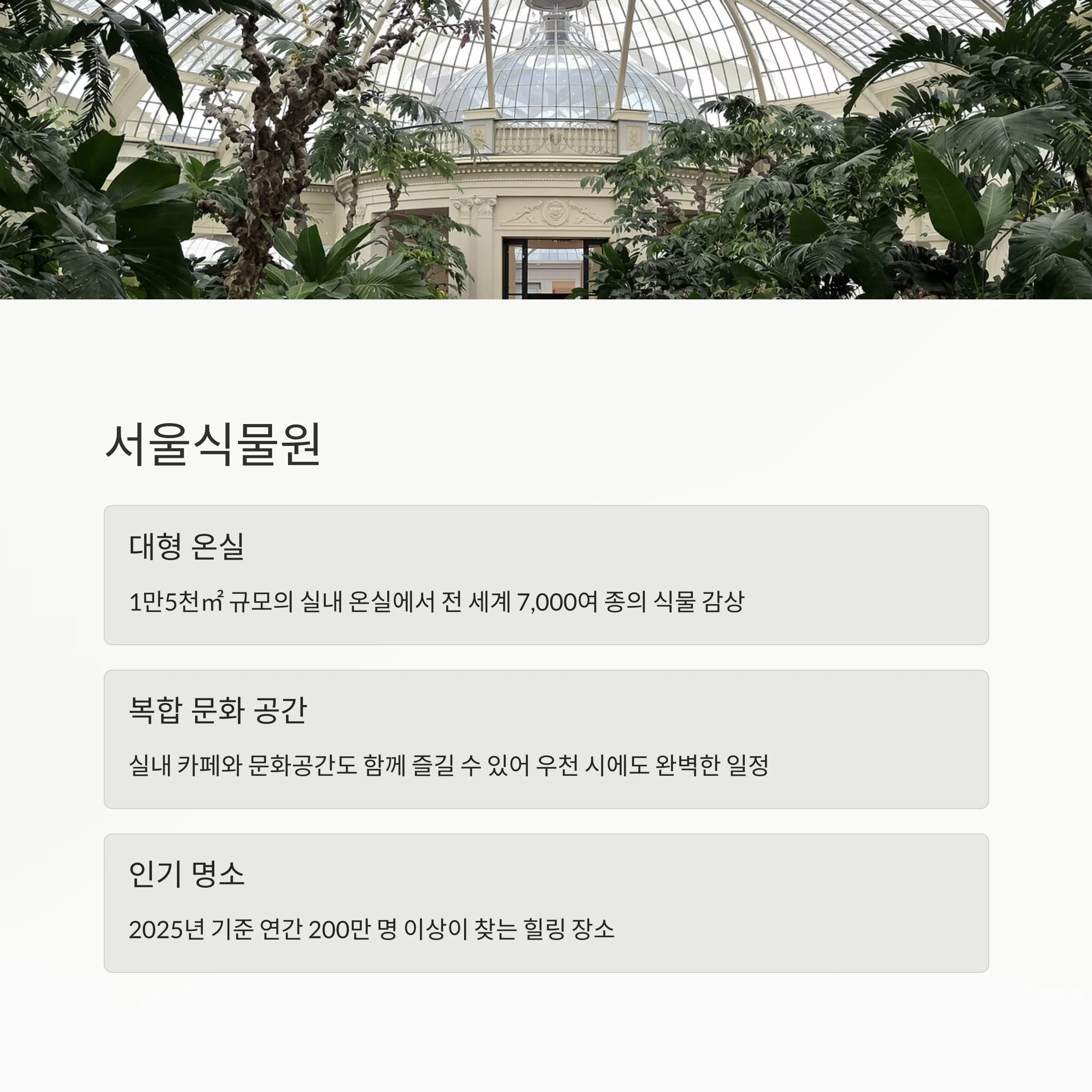 비 오는 날 더 빛나는 서울 여행지