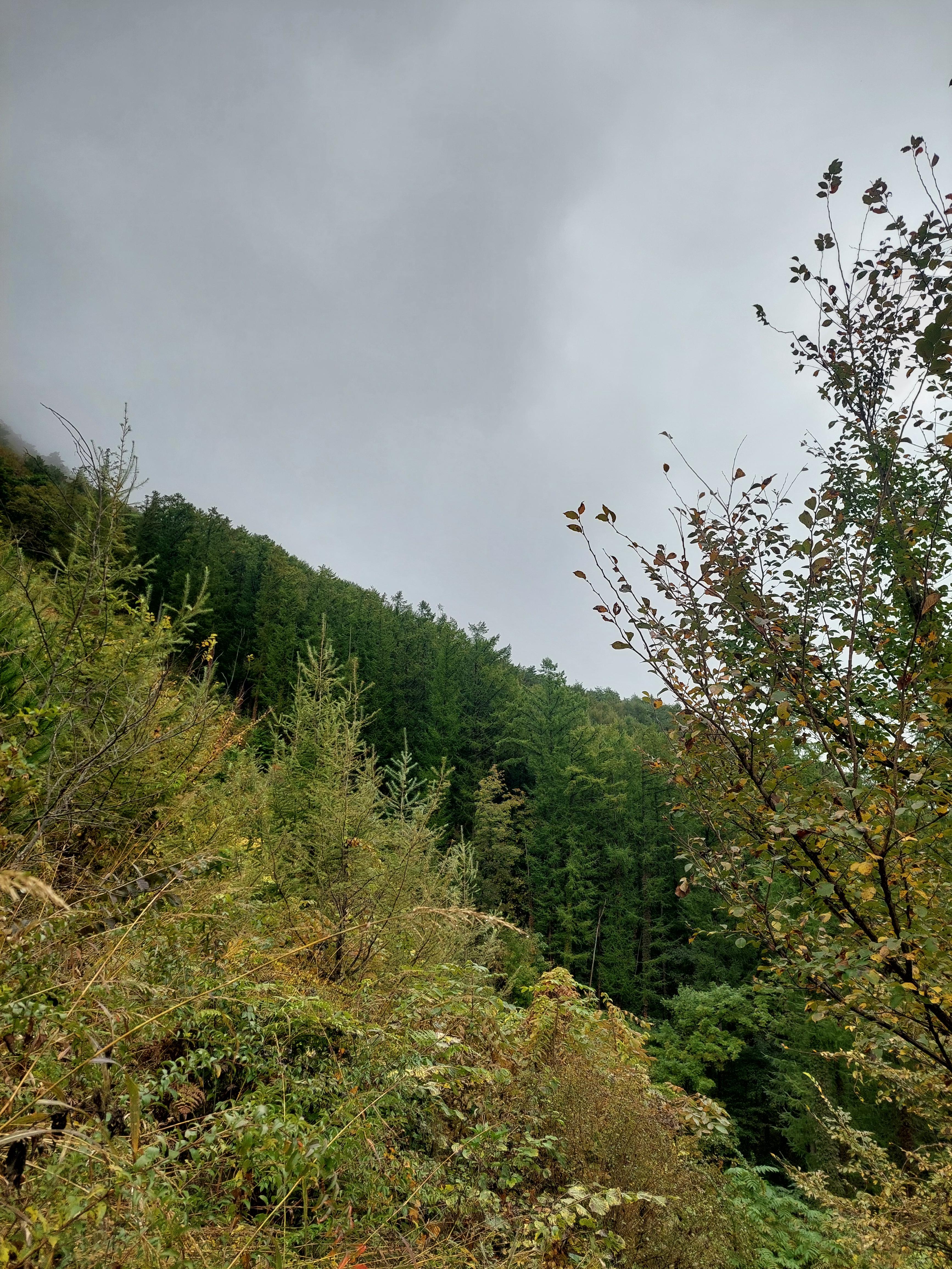 민둥산