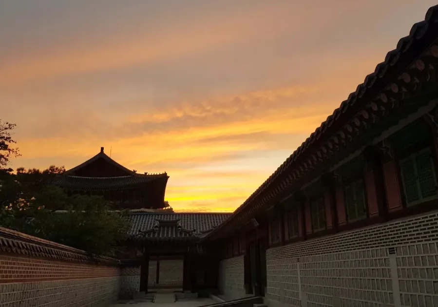경복궁 야간관람 