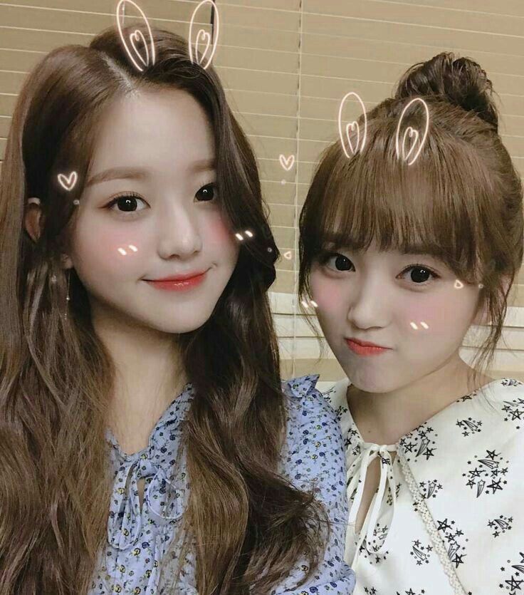 아이즈원 프로듀스48 사진 모음 아이즈원 프로듀스48 사진 모음