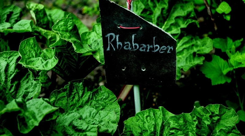 기출문제 풀이의 중요성