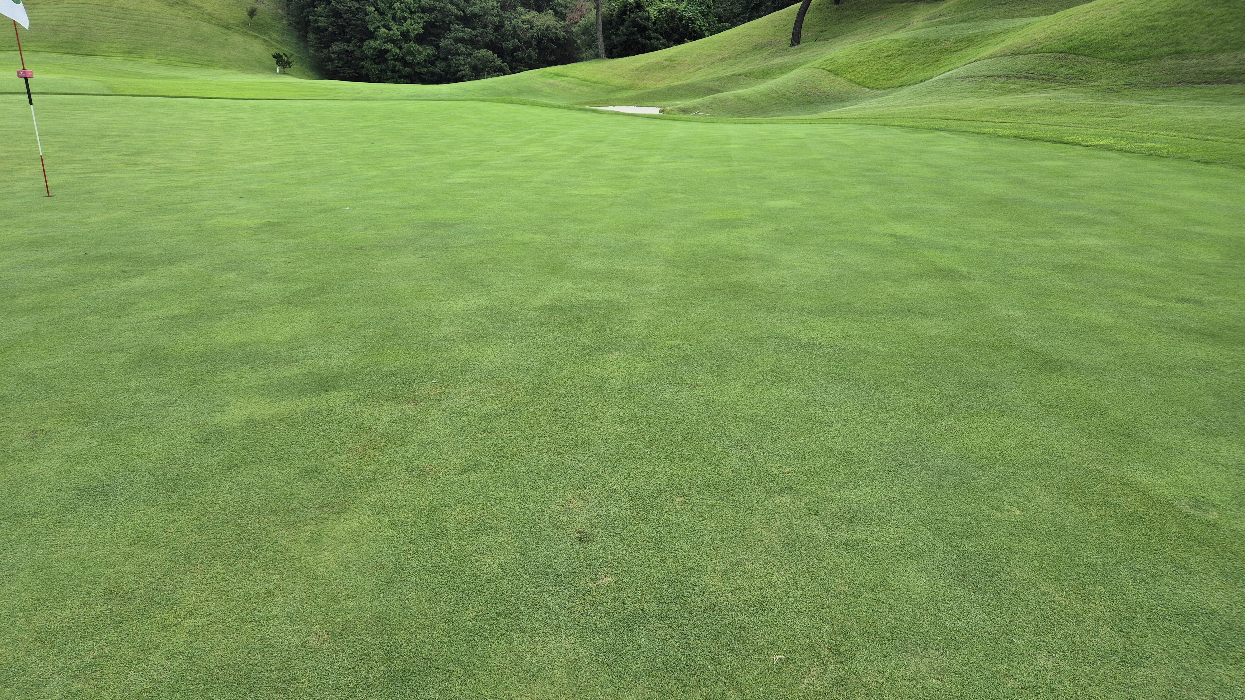 동원썬밸리cc 라운드 후기