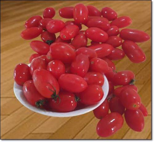 스테비아 방울토마토