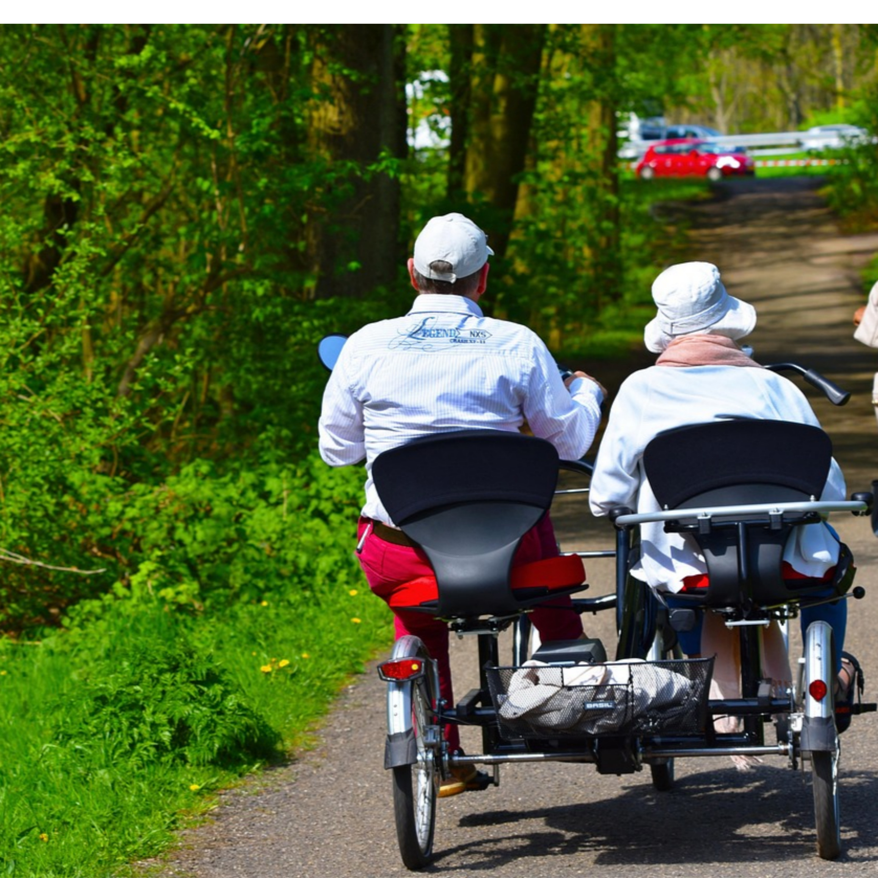 건강한 노년을 위한 무료 운동 강좌