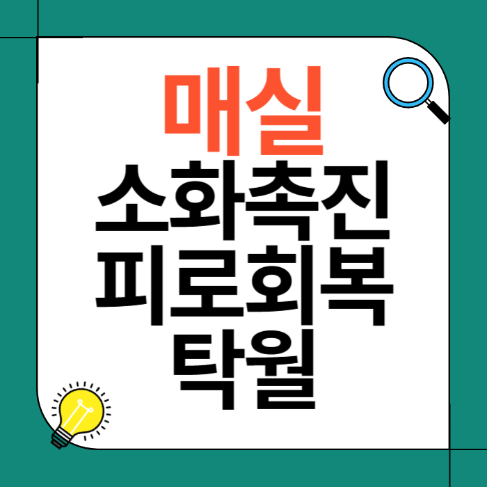 매실 소화 촉진, 피로 회복