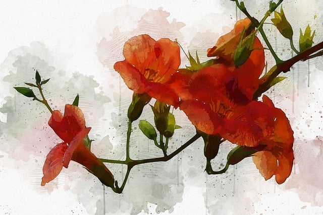 비체올린 능소화축제