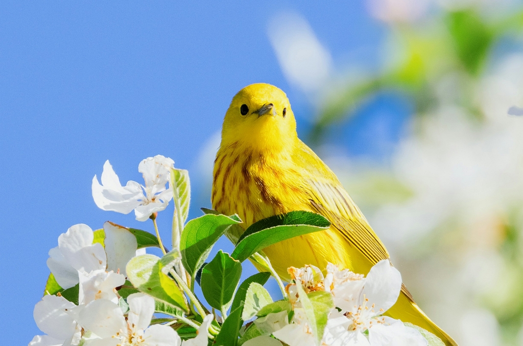 2024년 27회 민법 기출문제 썸네일 이미지