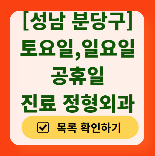 성남 분당구 일요일 문 여는 정형외과 리스트 ❘ 토요일, 주말, 공휴일 진료 영업 병원 목록
