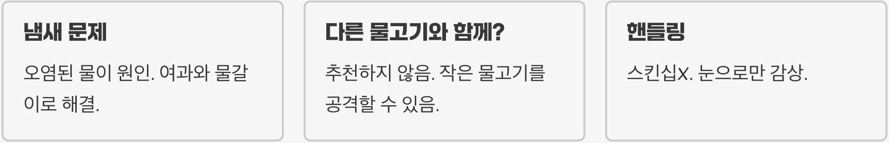 물멍의 시작, 커먼머스크가 최고의 입문 거북이인 이유