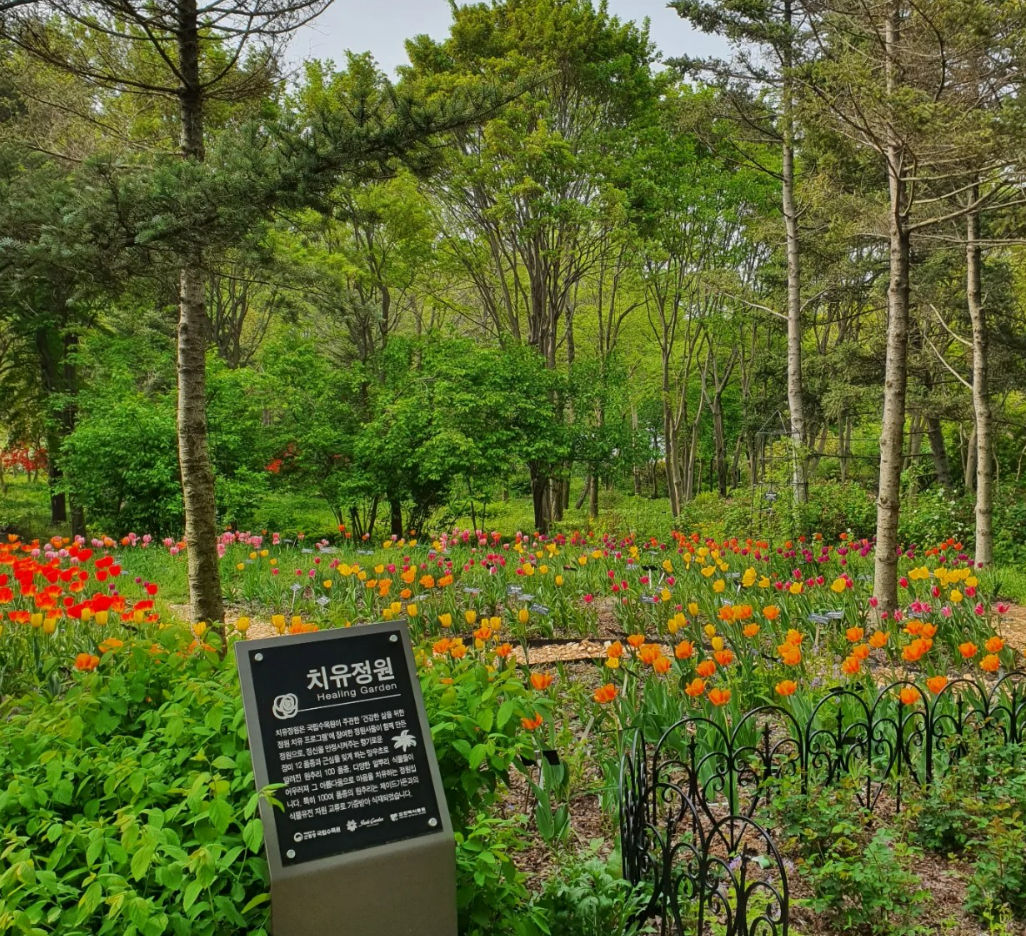용인 한택식물원 안내